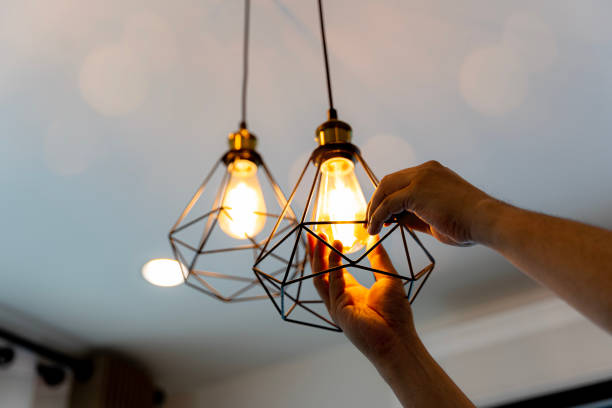 Best Electric Panel Repair  in Mapleton, MN
